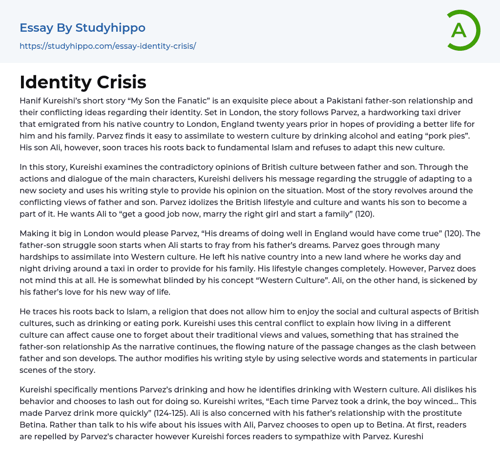 Identity Crisis Essay Example