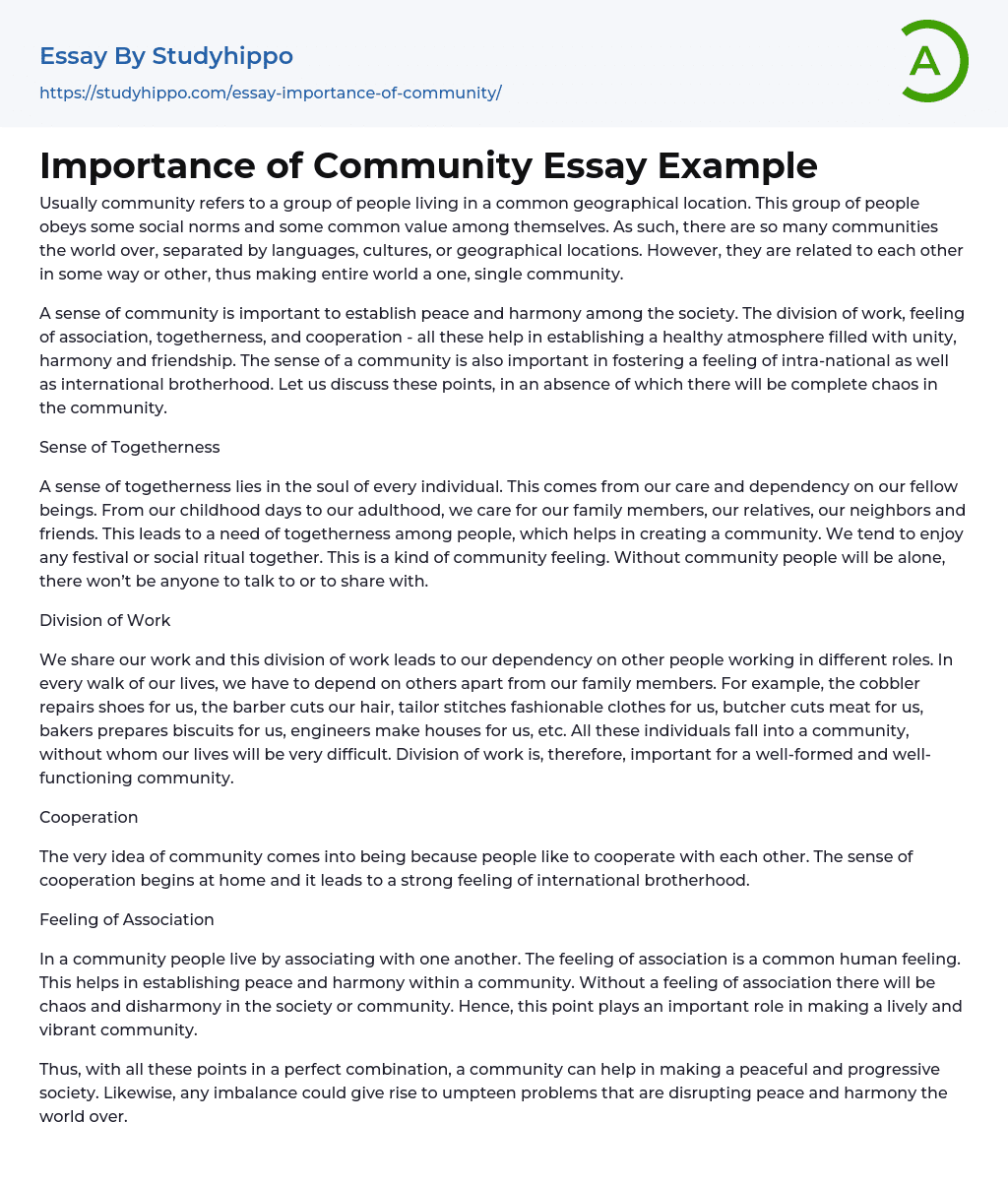Importance of Community Essay Example