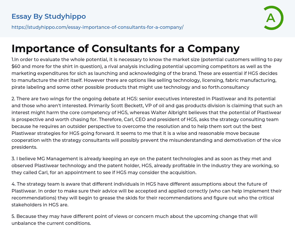 Importance of Consultants for a Company Essay Example