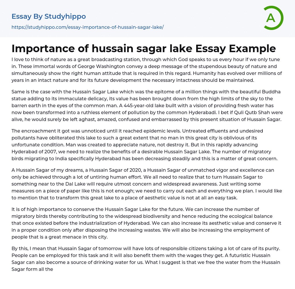Importance of hussain sagar lake Essay Example