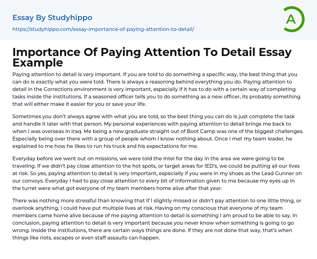 Importance Of Paying Attention To Detail Essay Example StudyHippo