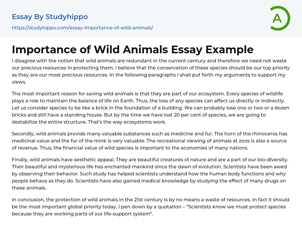 Importance of Wild Animals Essay Example