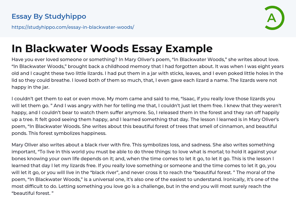 In Blackwater Woods Essay Example