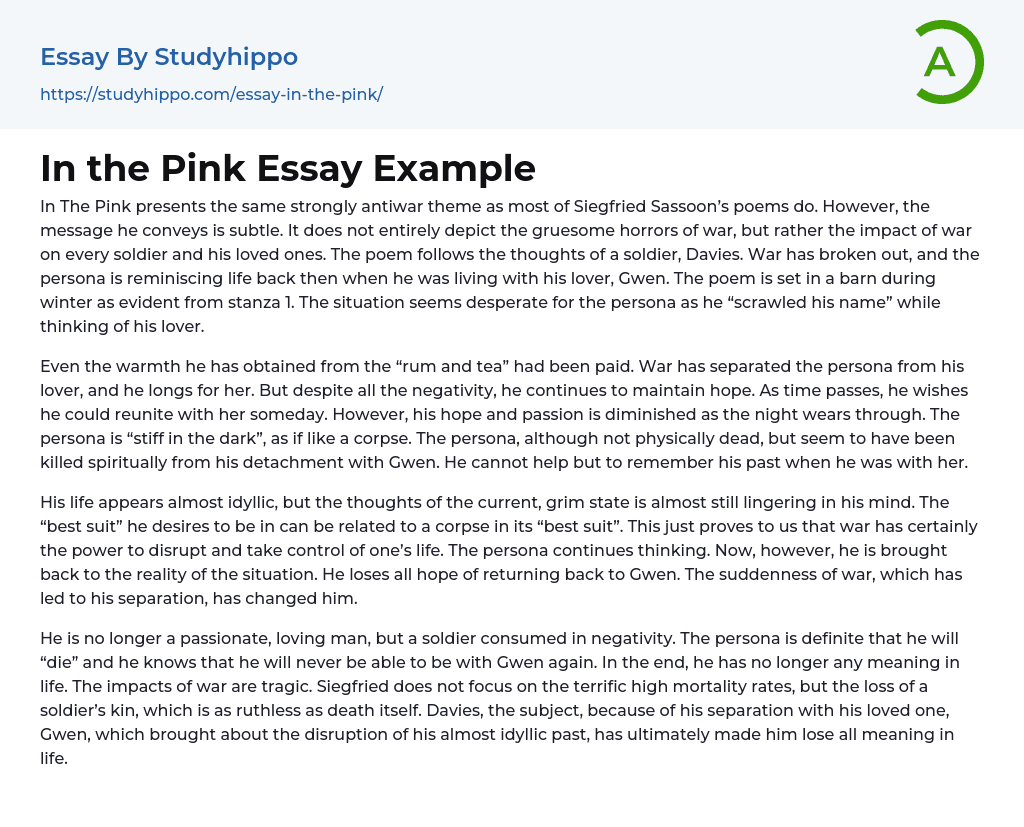 In the Pink Essay Example