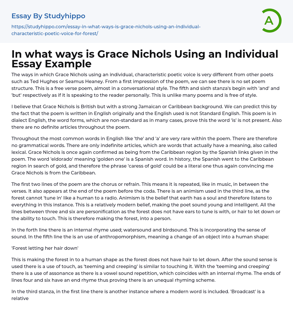 In what ways is Grace Nichols Using an Individual Essay Example