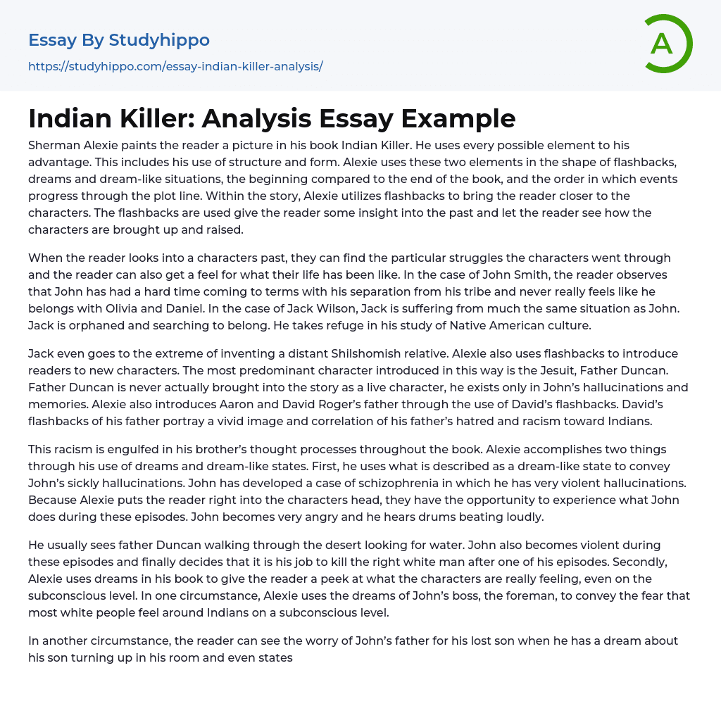 Indian Killer: Analysis Essay Example