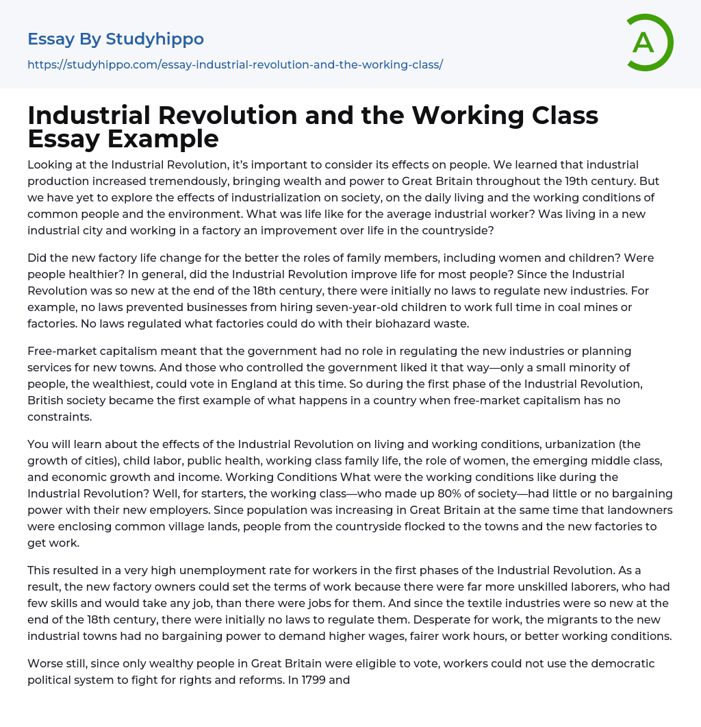 Industrial Revolution and the Working Class Essay Example