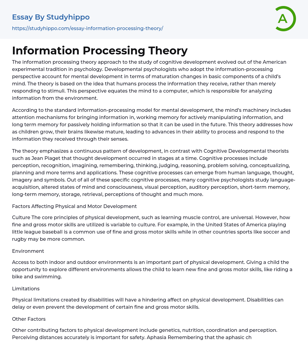 essay about information processing
