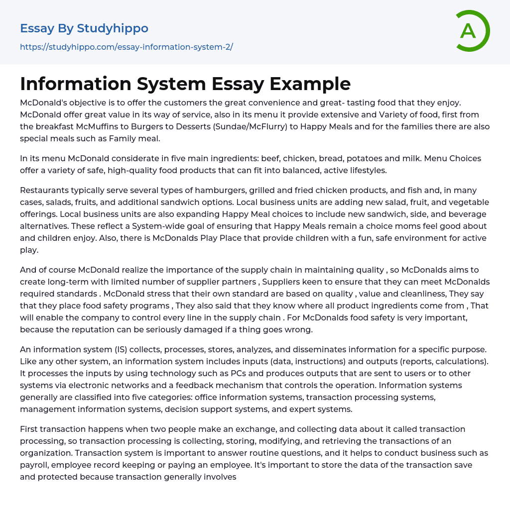 Information System Essay Example