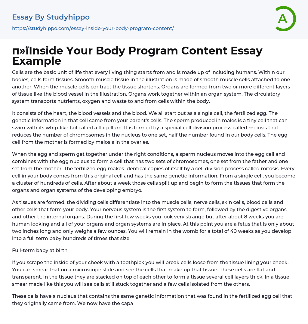 Inside Your Body Program Content Essay Example