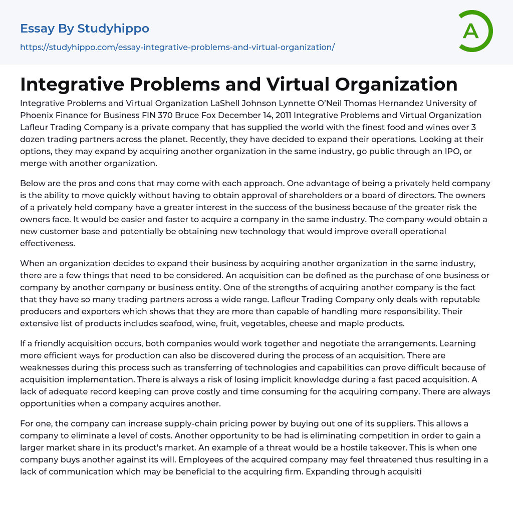 virtual organization essay