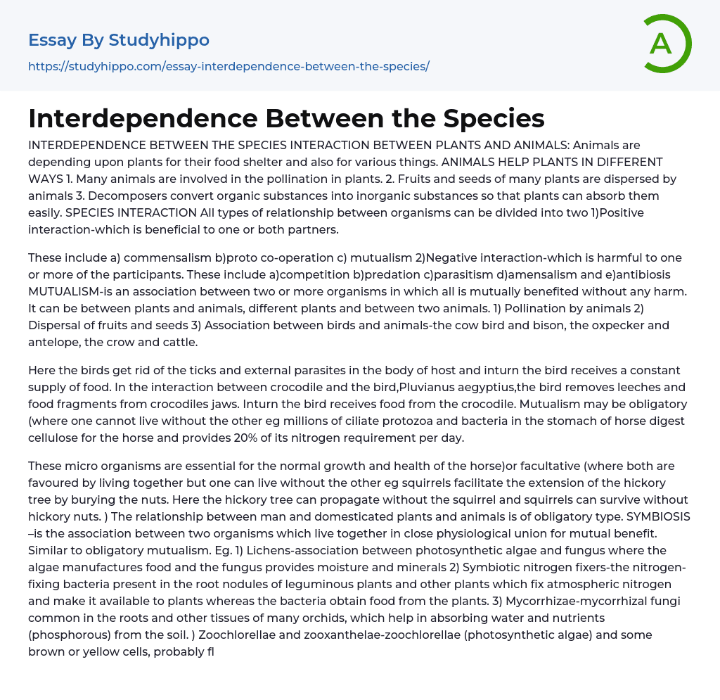 Interdependence Between the Species Interaction Between Plants and Animals Essay Example