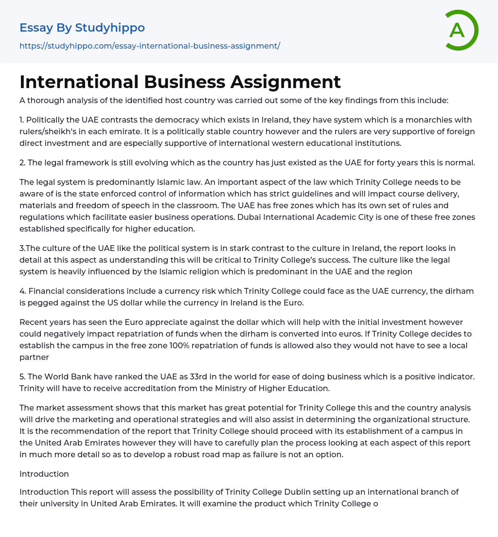 International Business Assignment Essay Example