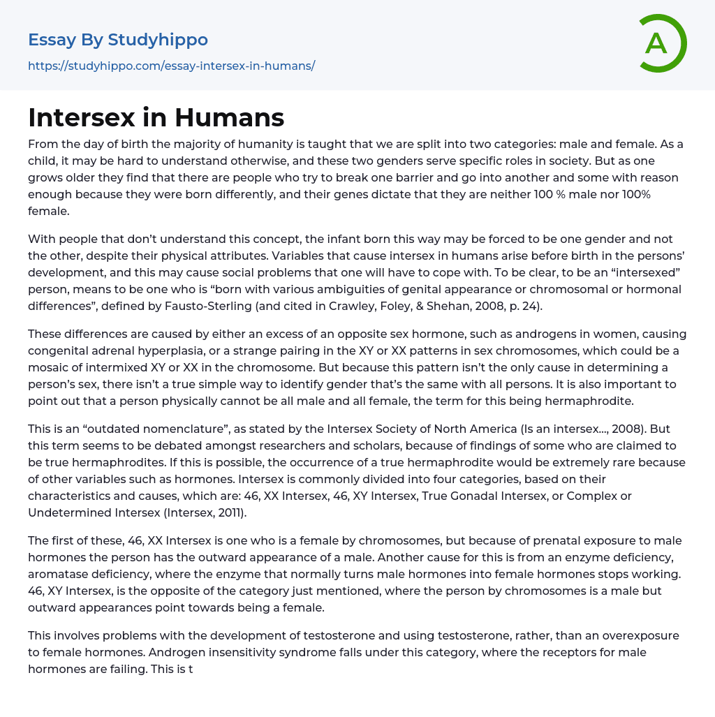 Intersex in Humans Essay Example