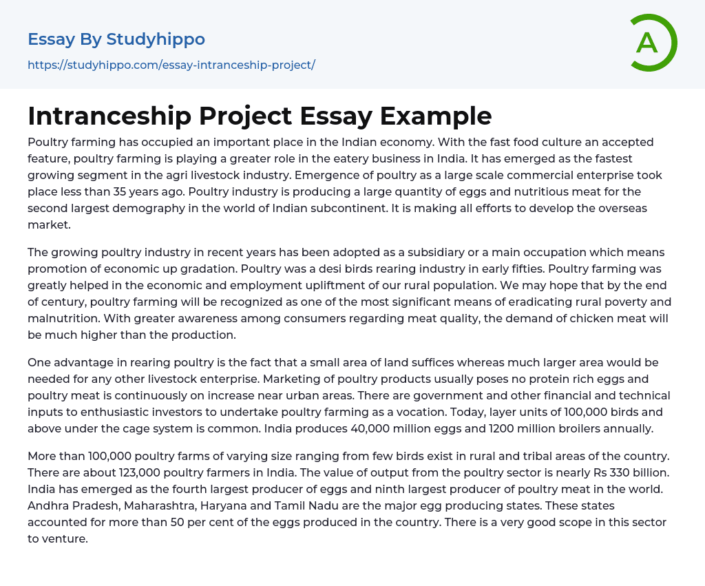 Intranceship Project Essay Example