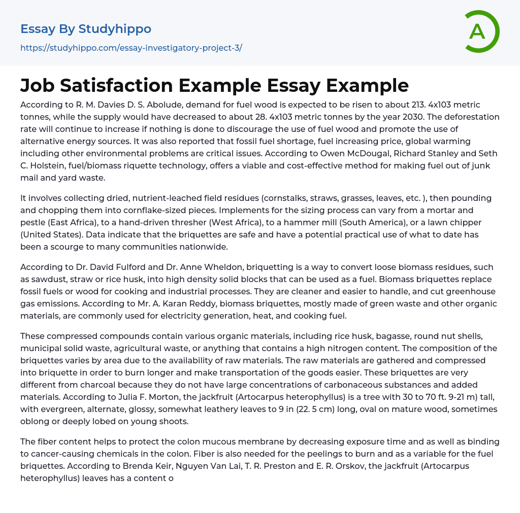 Job Satisfaction Example Essay Example