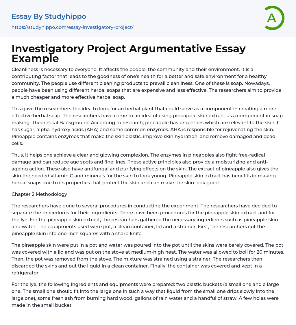 Investigatory Project Argumentative Essay Example