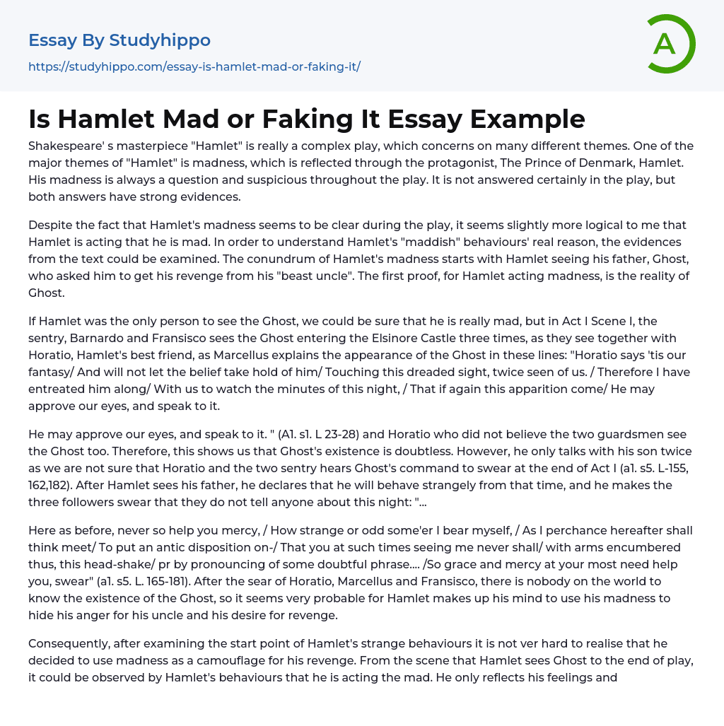 Is Hamlet Mad or Faking It Essay Example