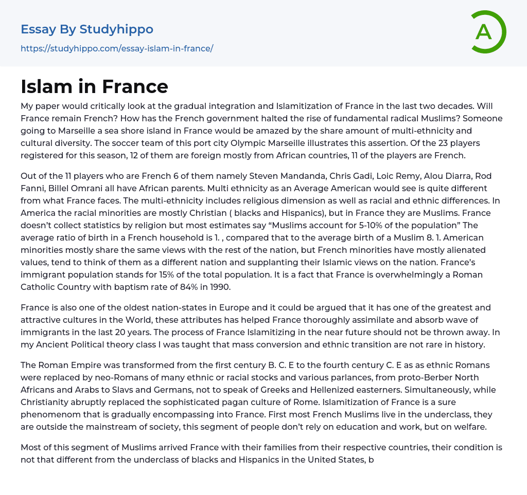Islam in France Essay Example