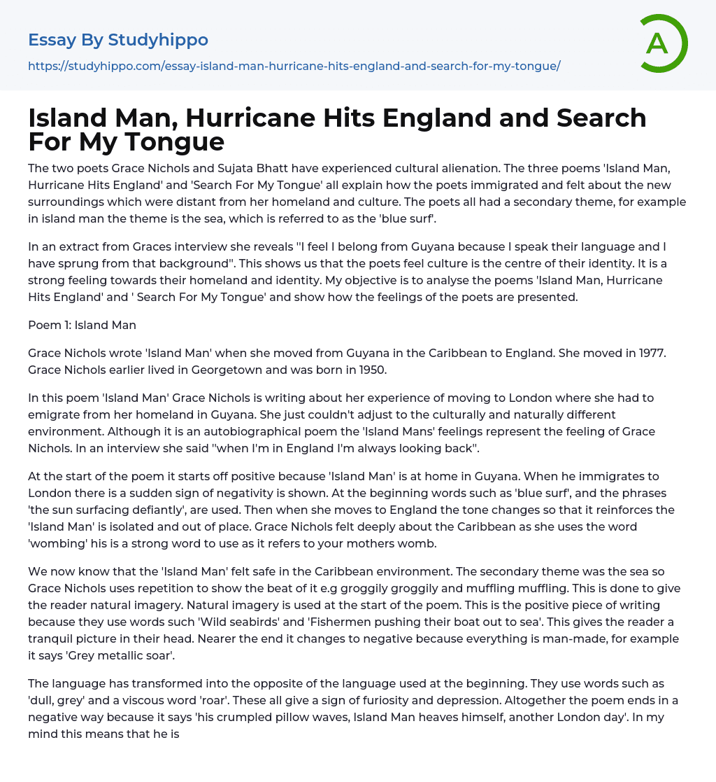 Island Man, Hurricane Hits England and Search For My Tongue Essay Example
