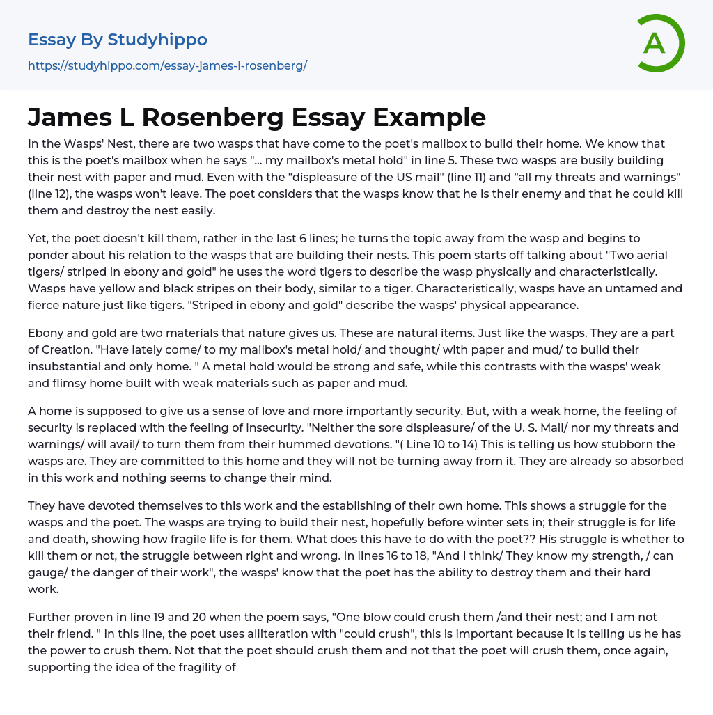 James L Rosenberg Essay Example