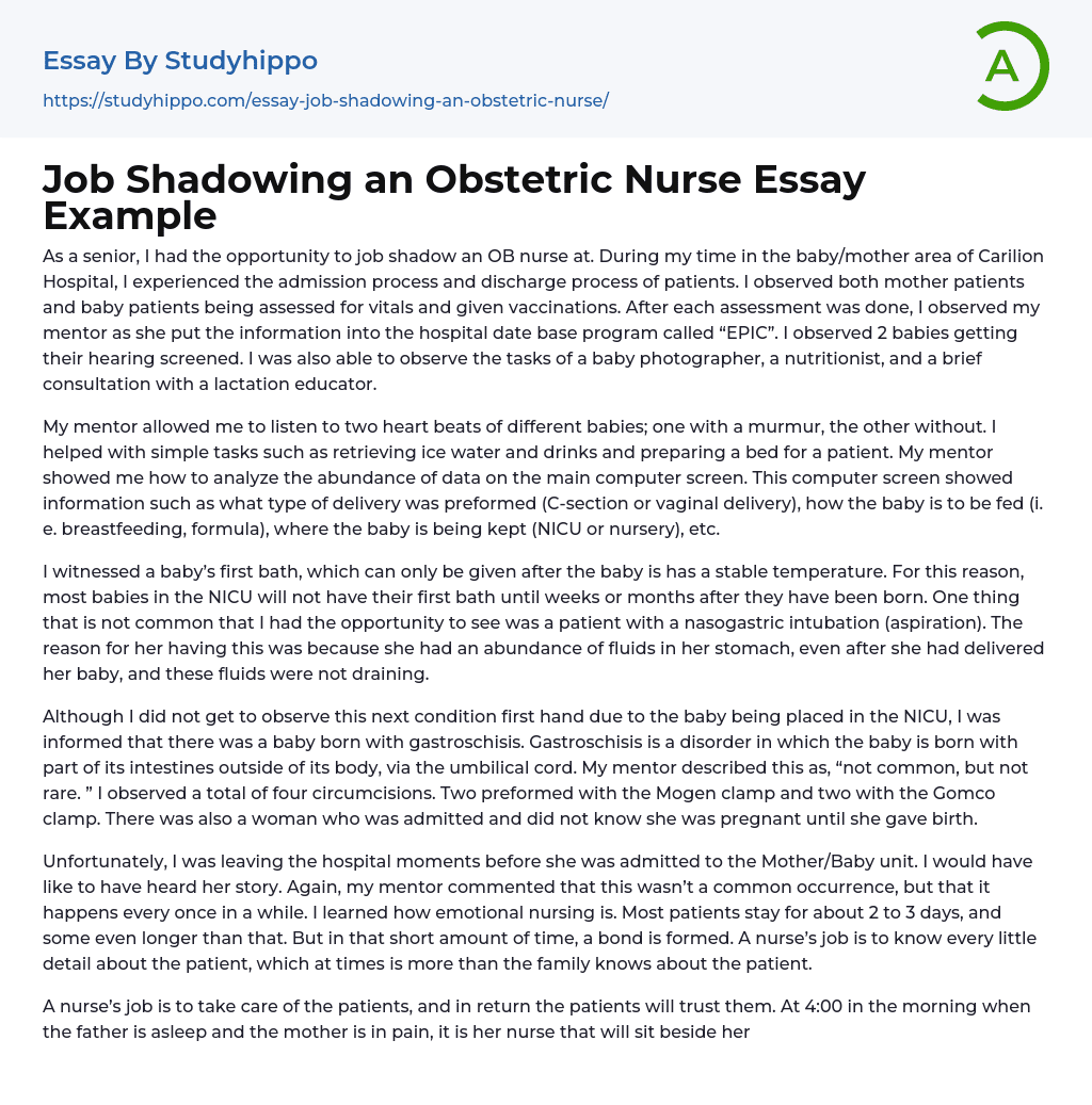 Job Shadowing an Obstetric Nurse Essay Example