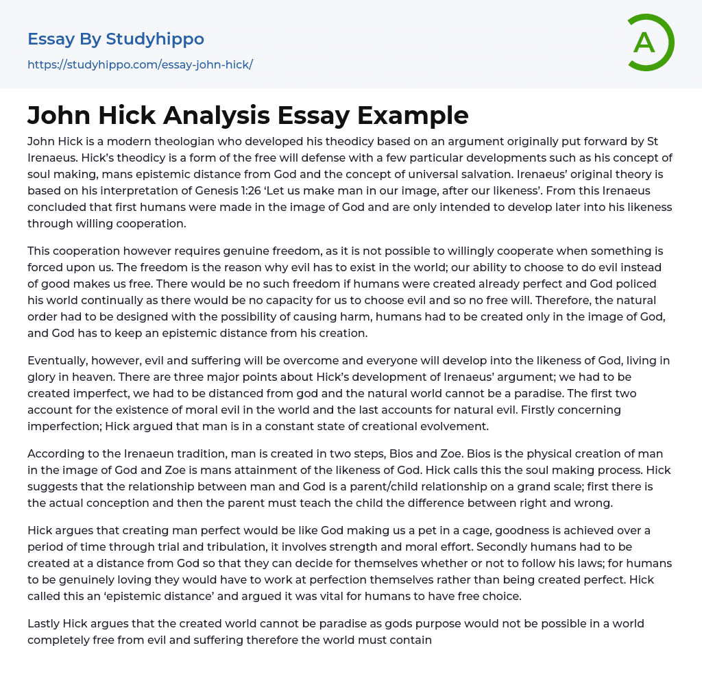 John Hick Analysis Essay Example
