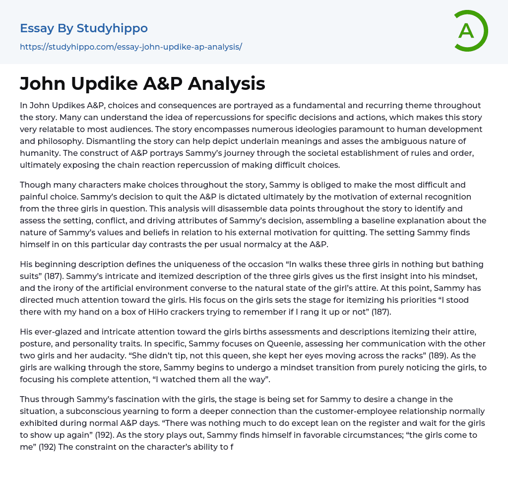 John Updike A&P Analysis Essay Example