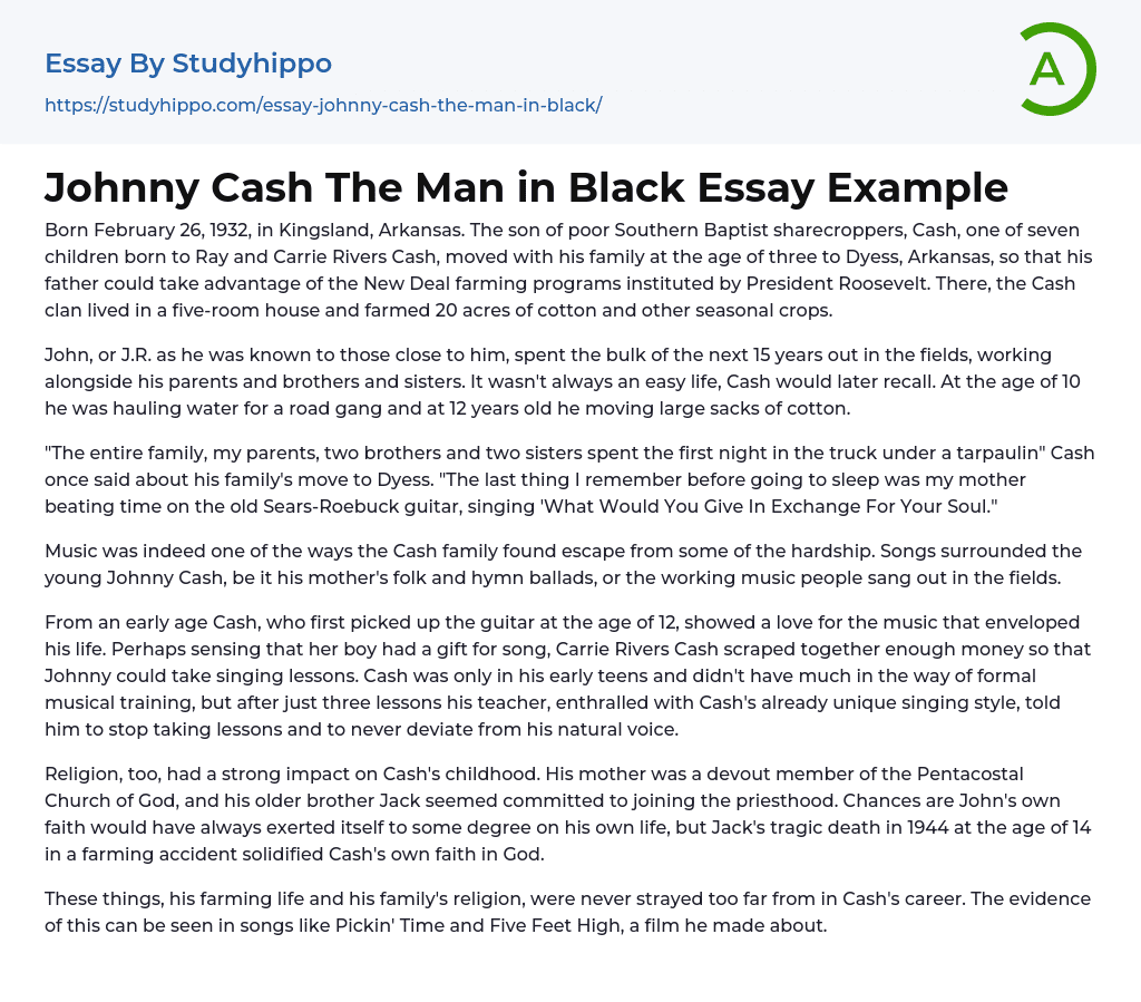 Johnny Cash The Man in Black Essay Example