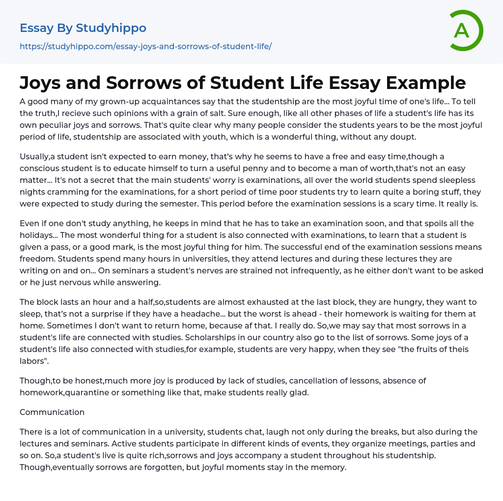 Joys and Sorrows of Student Life Essay Example