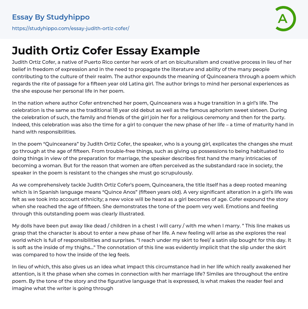 Judith Ortiz Cofer Essay Example