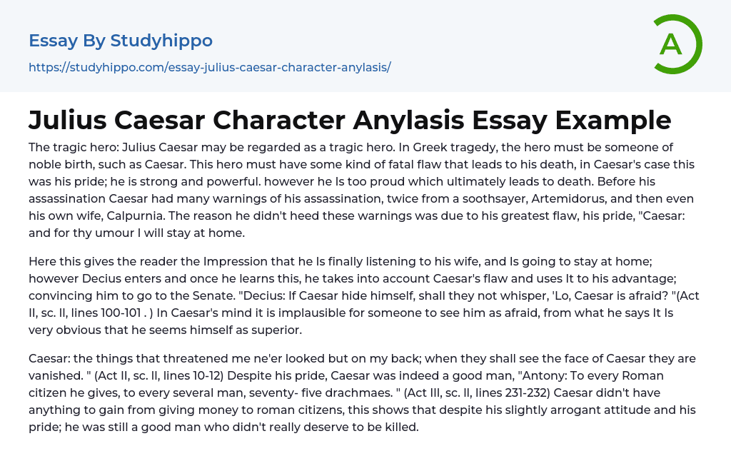 Julius Caesar Character Anylasis Essay Example