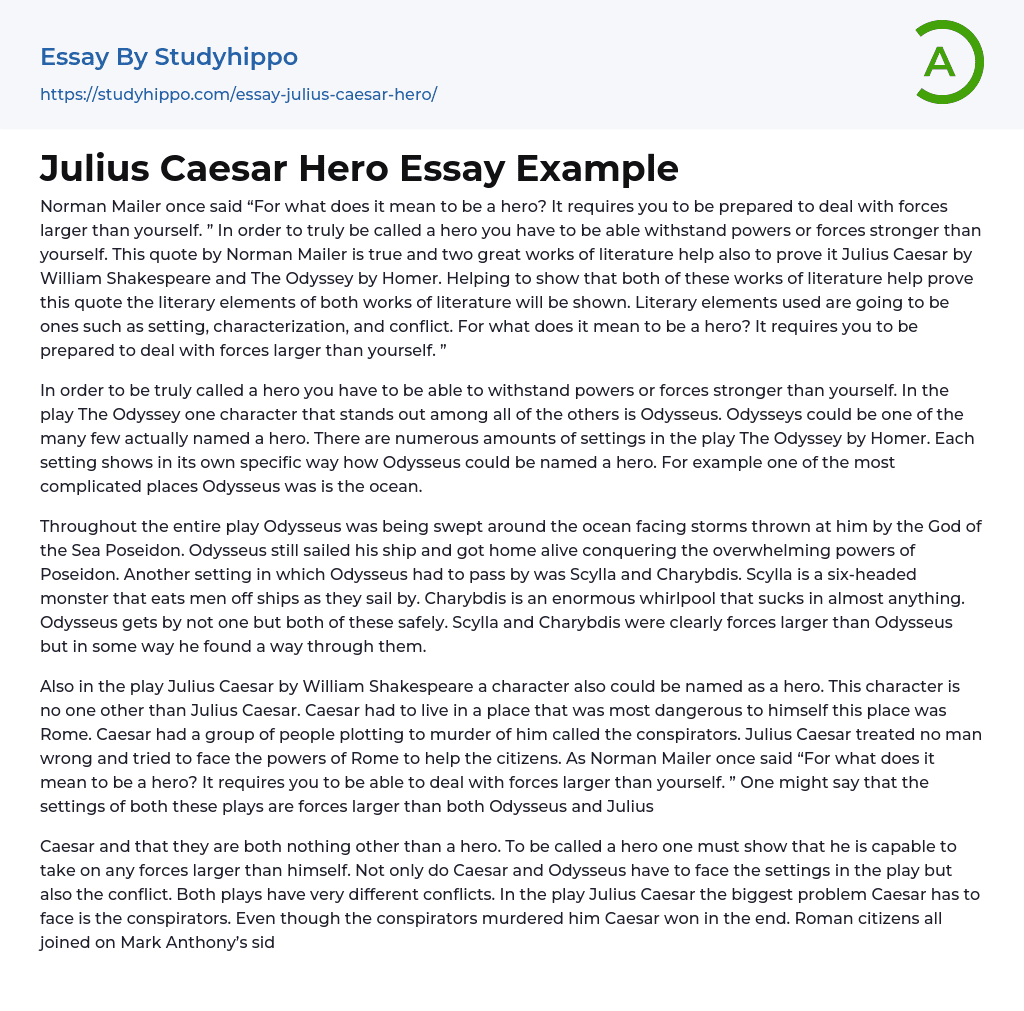 Julius Caesar Hero Essay Example