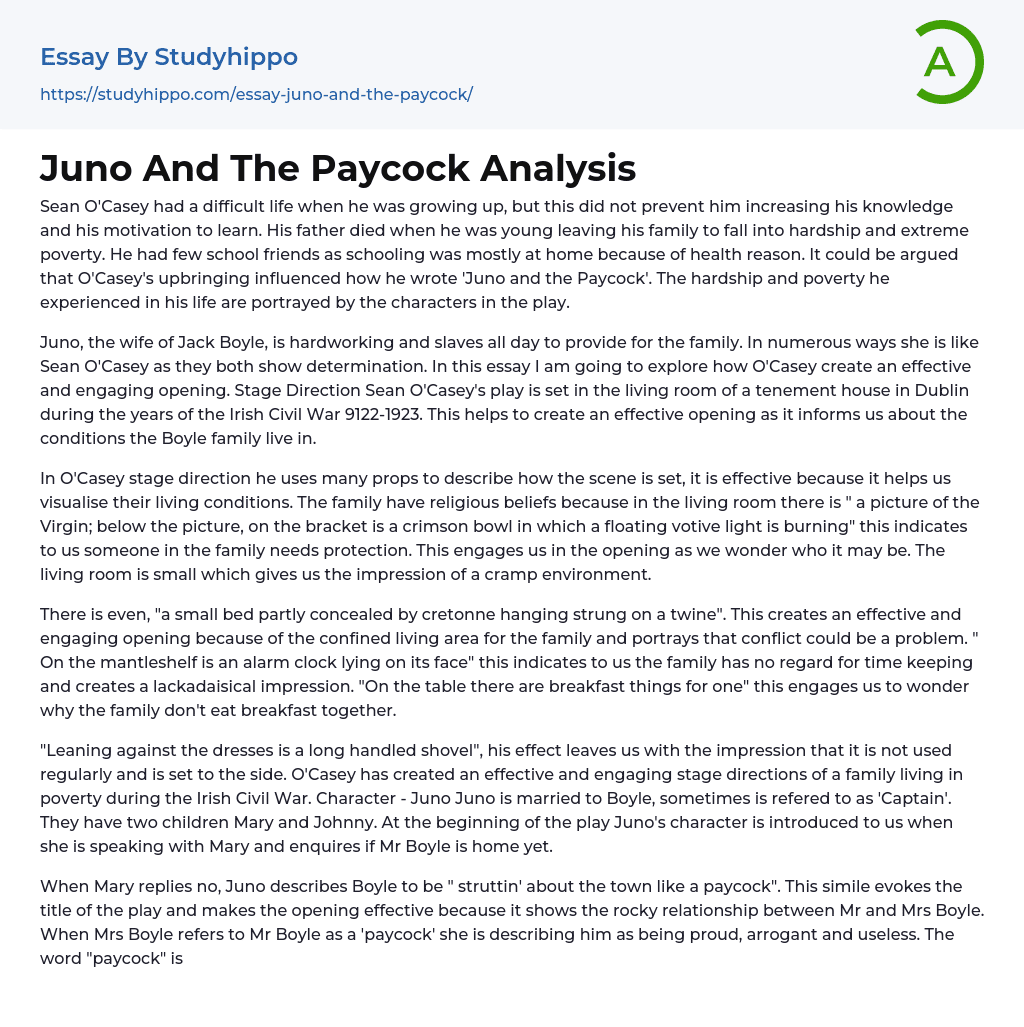 Juno And The Paycock Analysis Essay Example