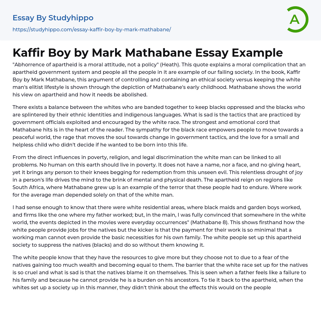 Kaffir Boy by Mark Mathabane Essay Example