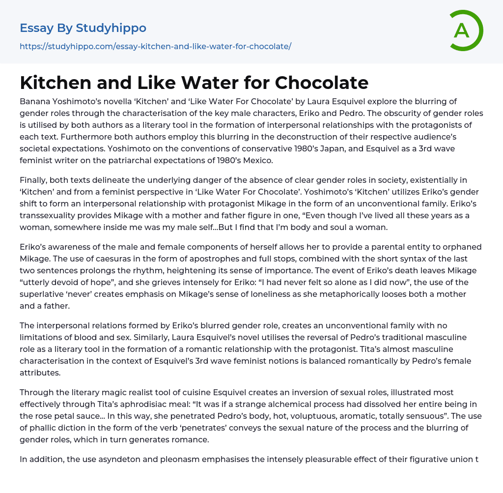 Kitchen and Like Water for Chocolate Essay Example