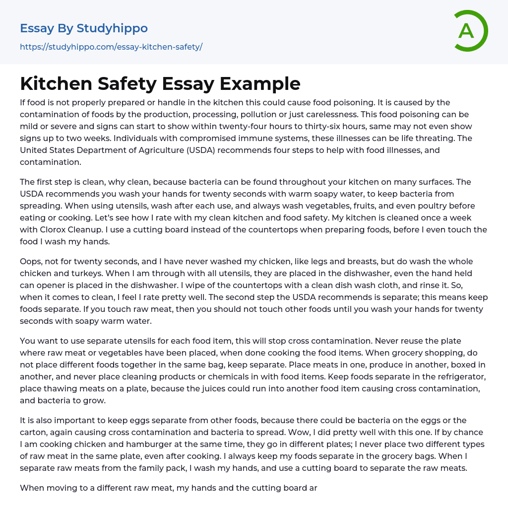Kitchen Safety Essay Example