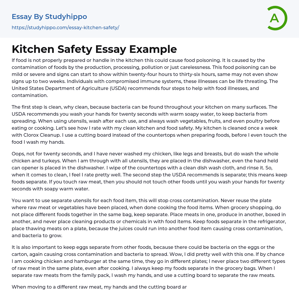 kitchen safety essay