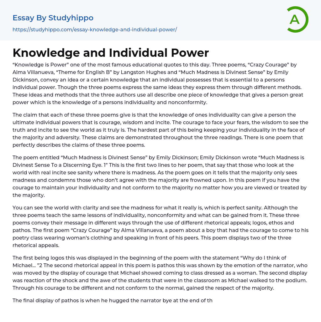 Knowledge and Individual Power Essay Example