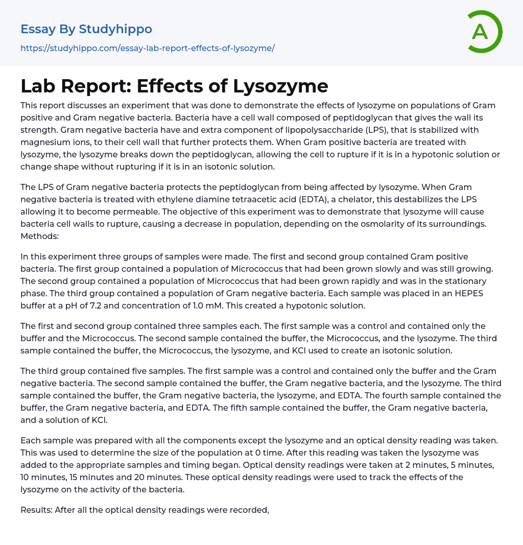 Lab Report: Effects of Lysozyme Essay Example