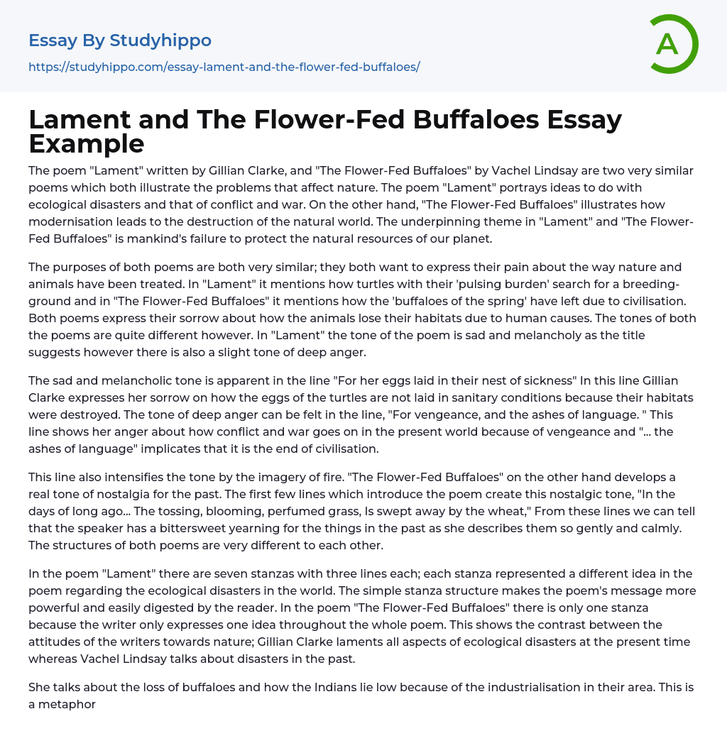 Lament and The Flower-Fed Buffaloes Essay Example