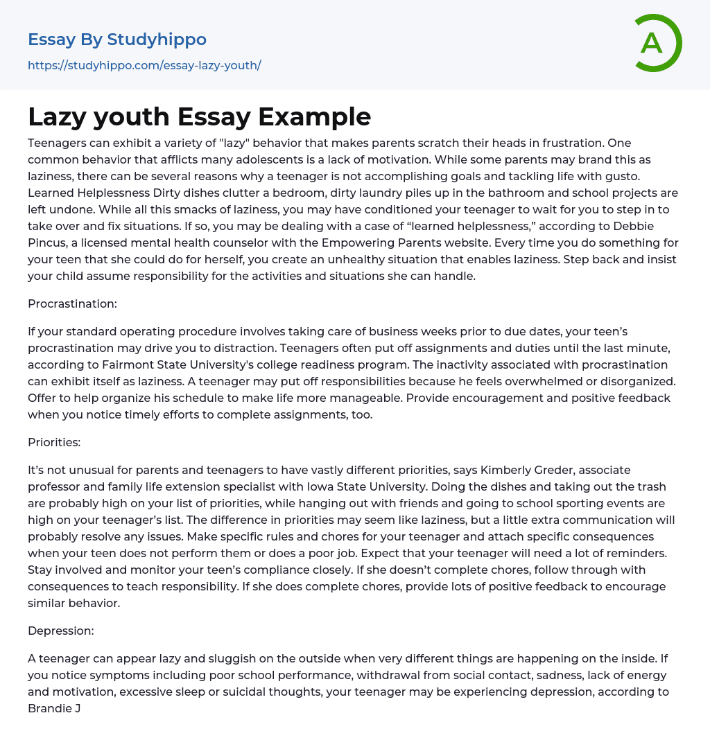 Lazy youth Essay Example