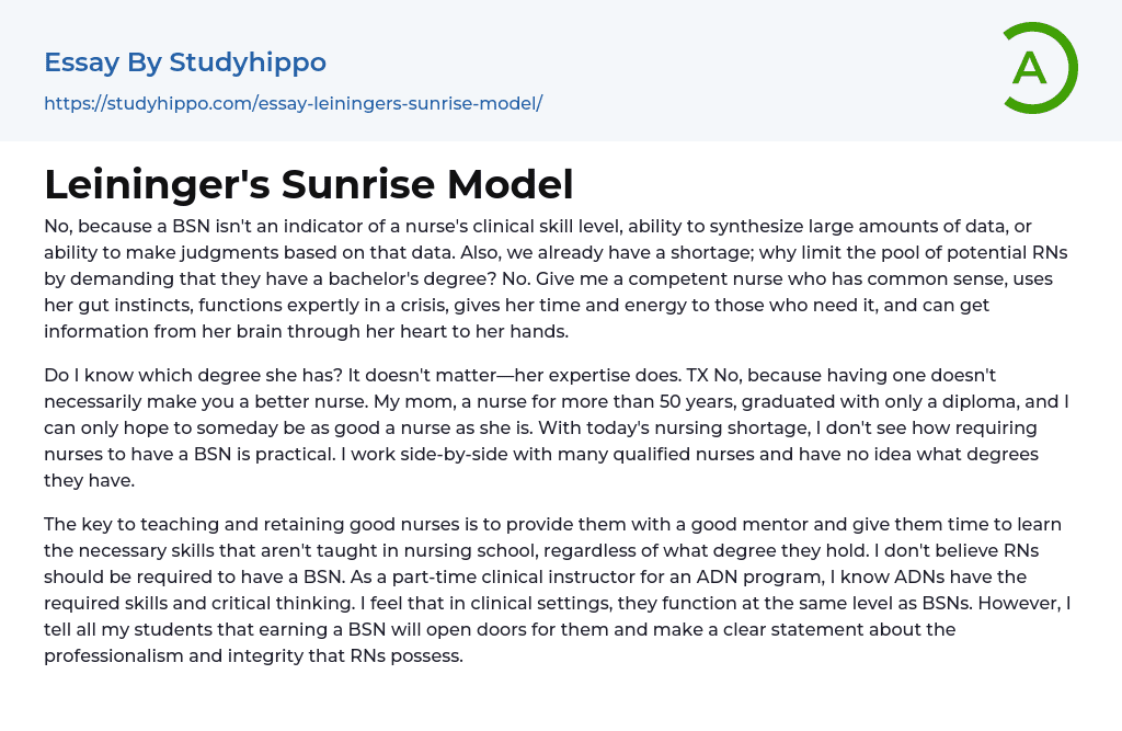 Leininger’s Sunrise Model Essay Example