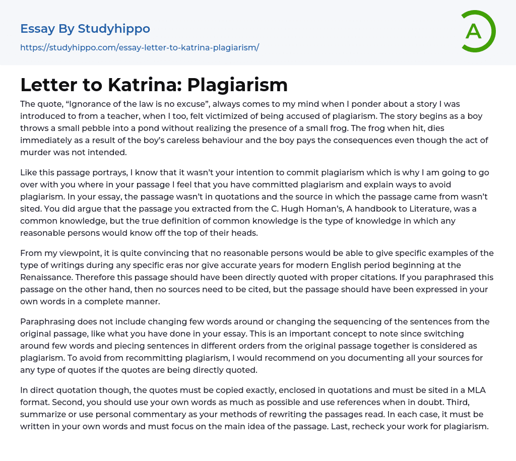 Letter to Katrina: Plagiarism Essay Example