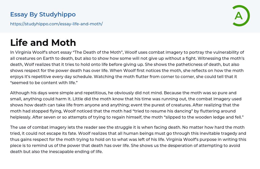 Life and Moth Essay Example