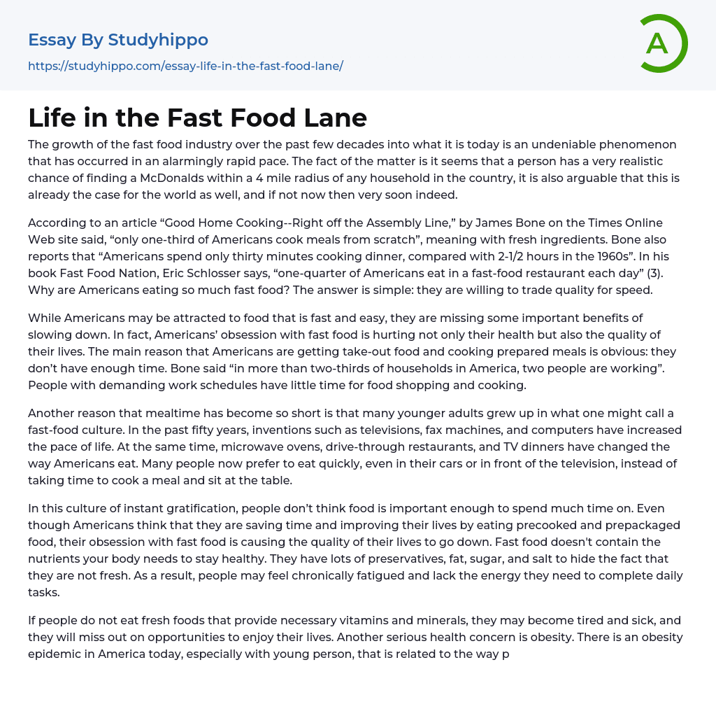 Life in the Fast Food Lane Essay Example