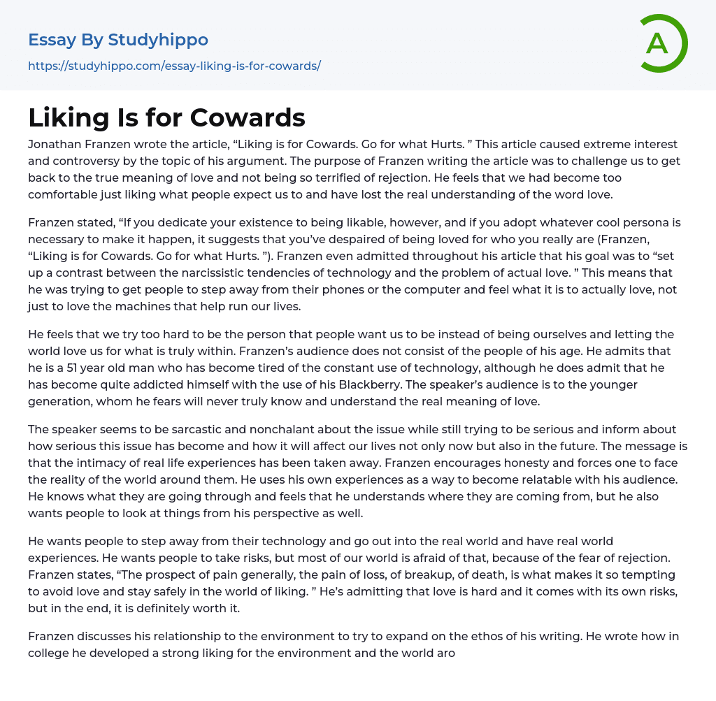 Liking Is for Cowards Essay Example