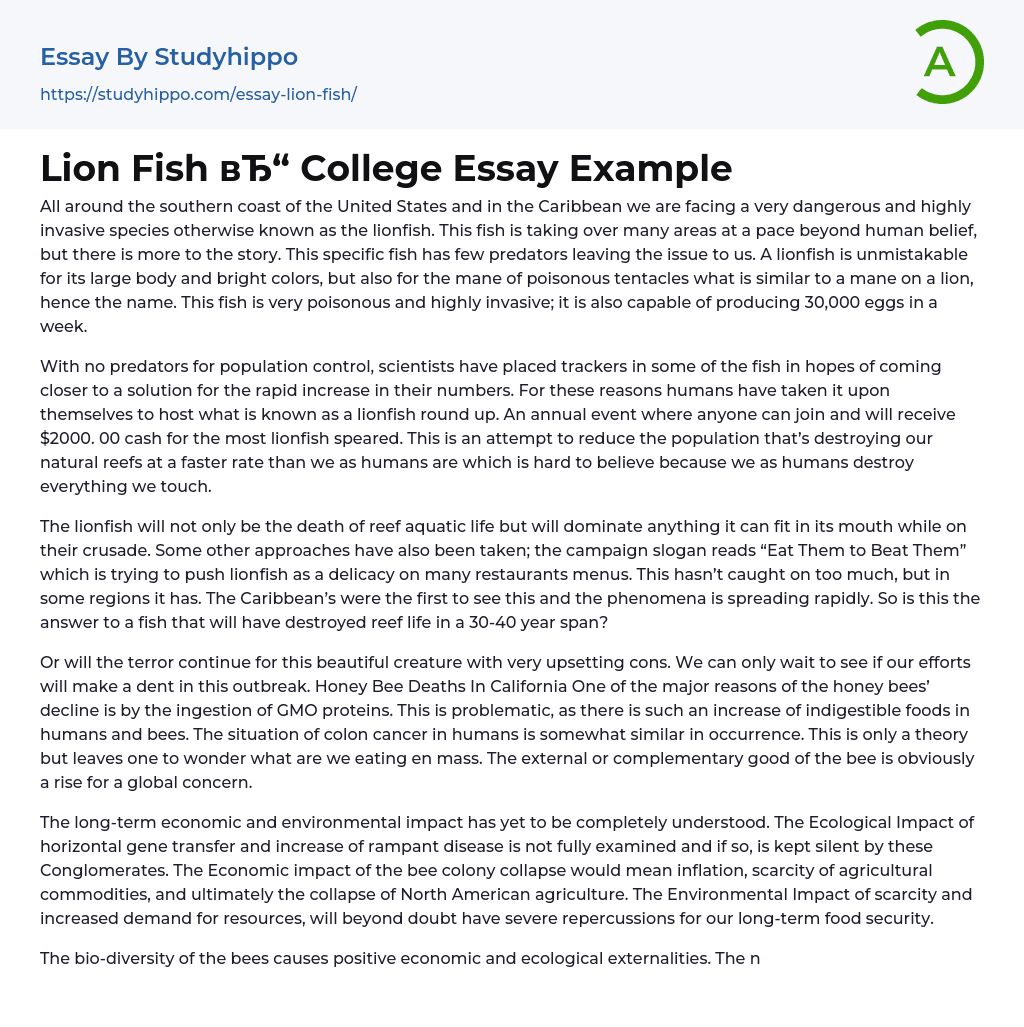 Lion Fish College Essay Example