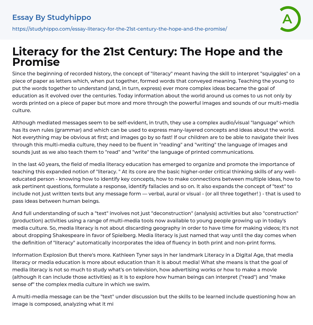 Literacy for the 21st Century: The Hope and the Promise Essay Example