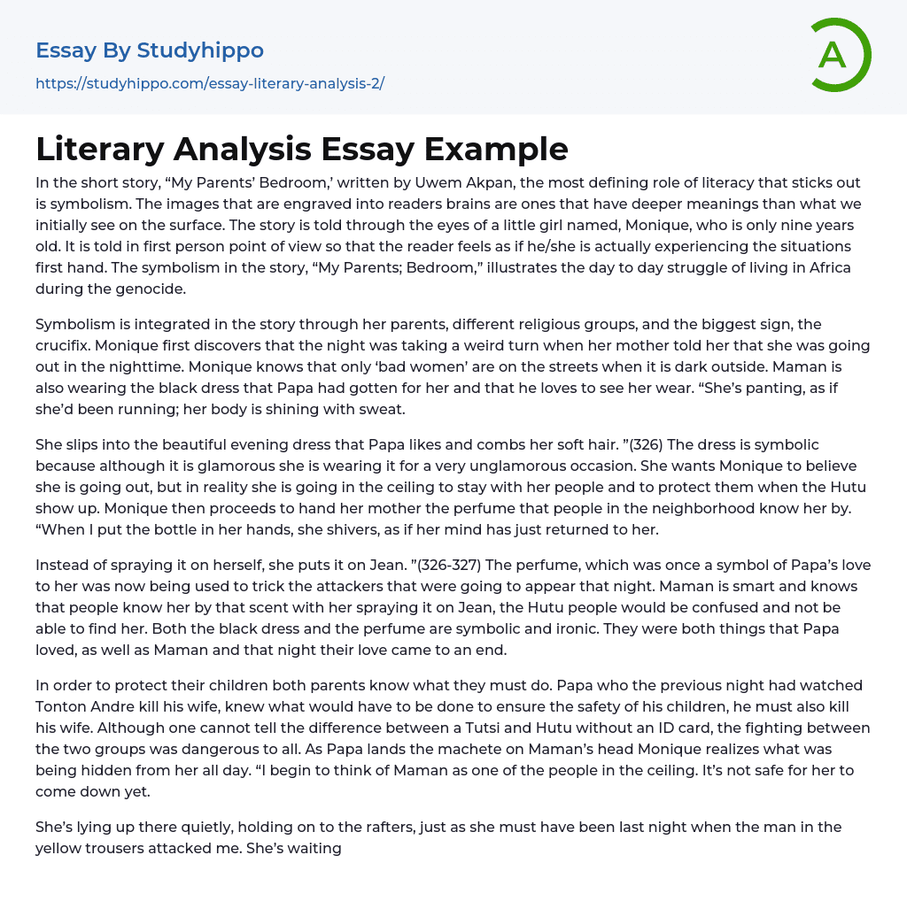 Literary Analysis Essay Example